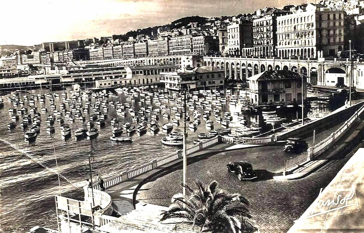 Alger - Port de Plaisance.jpg